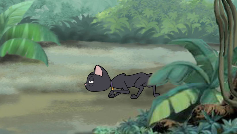 Cat Quad Walk